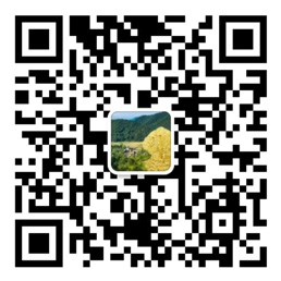 彩神lll首页